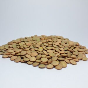 Lenteja importada x 5 kg